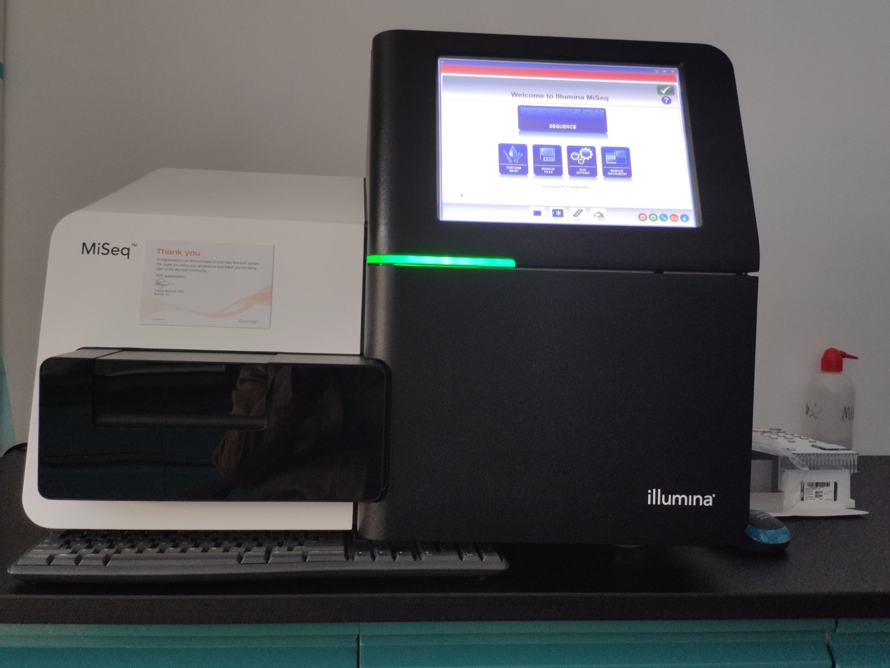 高通量测序仪（MISEQ）